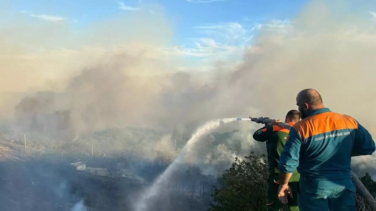     Источник: Администрация Краснодарского края