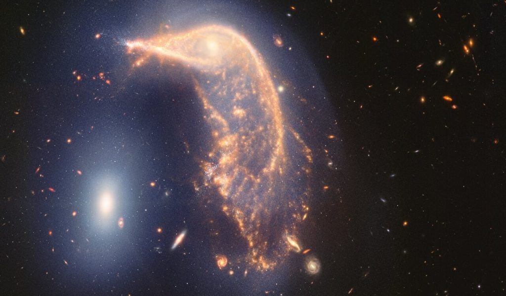    The distorted spiral galaxy at the centre, the Penguin, and the compact elliptical galaxy at the left, the Egg, are locked in an active embrace. A new near- and mid-infrared image from the James Webb Space Telescope, taken to mark its second year of science, shows that their interaction is marked by a faint upside-down U-shaped blue glow. The pair, known jointly as Arp 142, made their first pass between 25 and 75 million years ago — causing ‘fireworks’, or new star formation, in the Penguin. In the most extreme cases, mergers can cause galaxies to form thousands of new stars per year for a few million years. For the Penguin, research has shown that about 100 to 200 stars have formed per year. By comparison, our Milky Way galaxy (which is not interacting with a galaxy of the same size) forms roughly six to seven new stars per year. This gravitational shimmy also remade the Penguin’s appearance. Its coiled spiral arms unwound, and gas and dust were pulled in an array of directions, like it was releasing confetti. It is rare for individual stars to collide when galaxies interact (space is vast), but the galaxies’ mingling disrupts their stars’ orbits. Today, the Penguin’s galactic centre looks like an eye set within a head, and the galaxy has prominent star trails that take the shape of a beak, backbone, and fanned-out tail. A faint, but prominent dust lane extends from its beak down to its tail. Despite the Penguin appearing far larger than the Egg, these galaxies have approximately the same mass. This is one reason why the smaller-looking Egg hasn’t yet merged with the Penguin. (If one was less massive, it may have merged earlier.) The oval Egg is filled with old stars, and little gas and dust, which is why it isn’t sending out ‘streamers’ or tidal tails of its own and instead has maintained a compact oval shape. If you look closely, the Egg has four prominent diffraction spikes — the galaxy’s stars are so concentrated that it gleams. Now, f Александр Шереметьев
