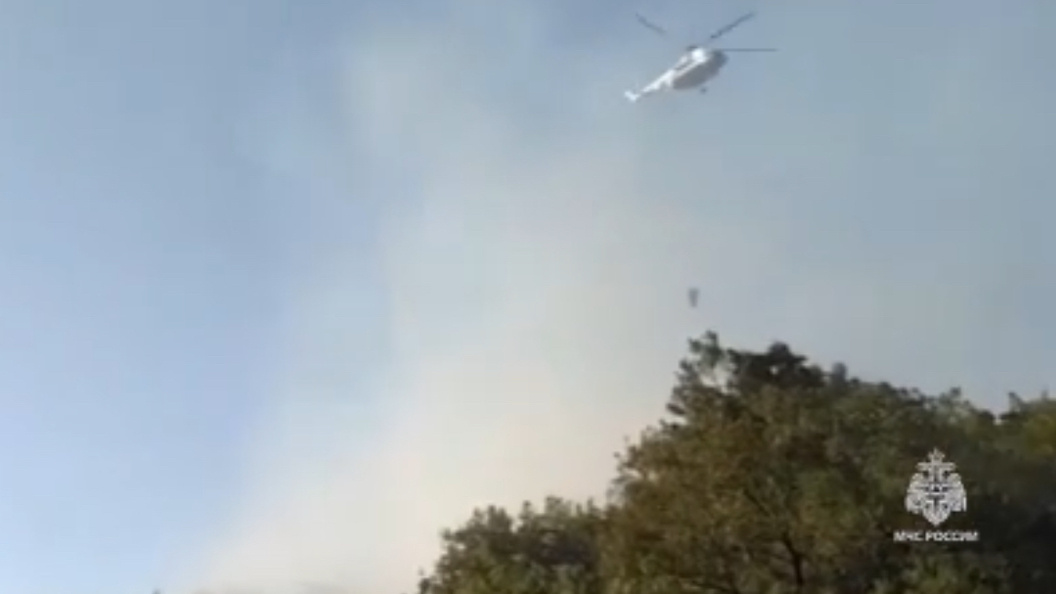    Фото: скрин видео