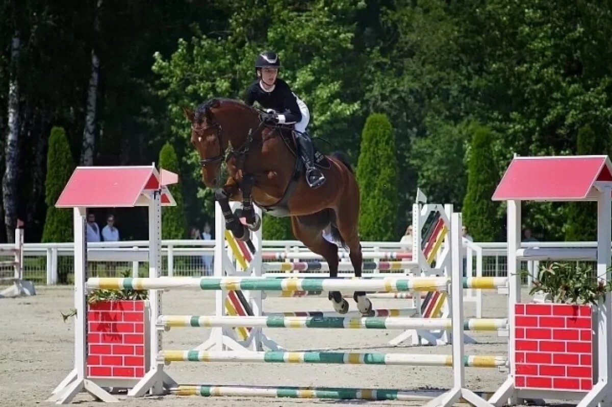    Кубок области по конкуру прошел в Туле