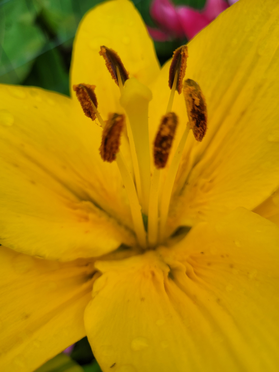 Фото из личного архива.