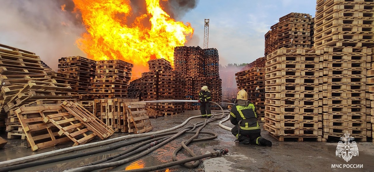 Что известно о жутком пожаре на складе деревянных поддонов в Воронеже .