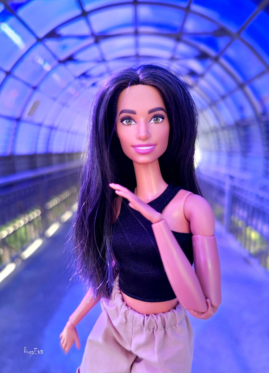 Barbie Fashionistas #209 на теле mtm 