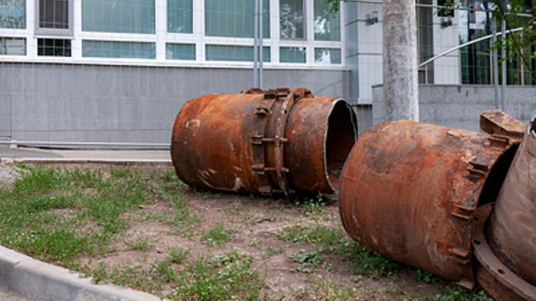    Фото: Svetlana Vozmilova/Globallookpress.