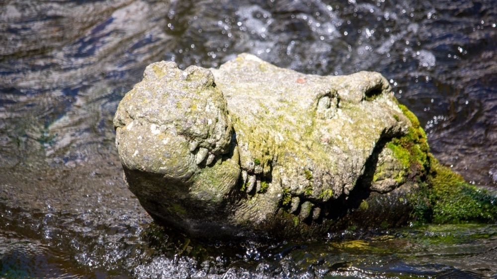    Фото: Henry St John / Shutterstock.com