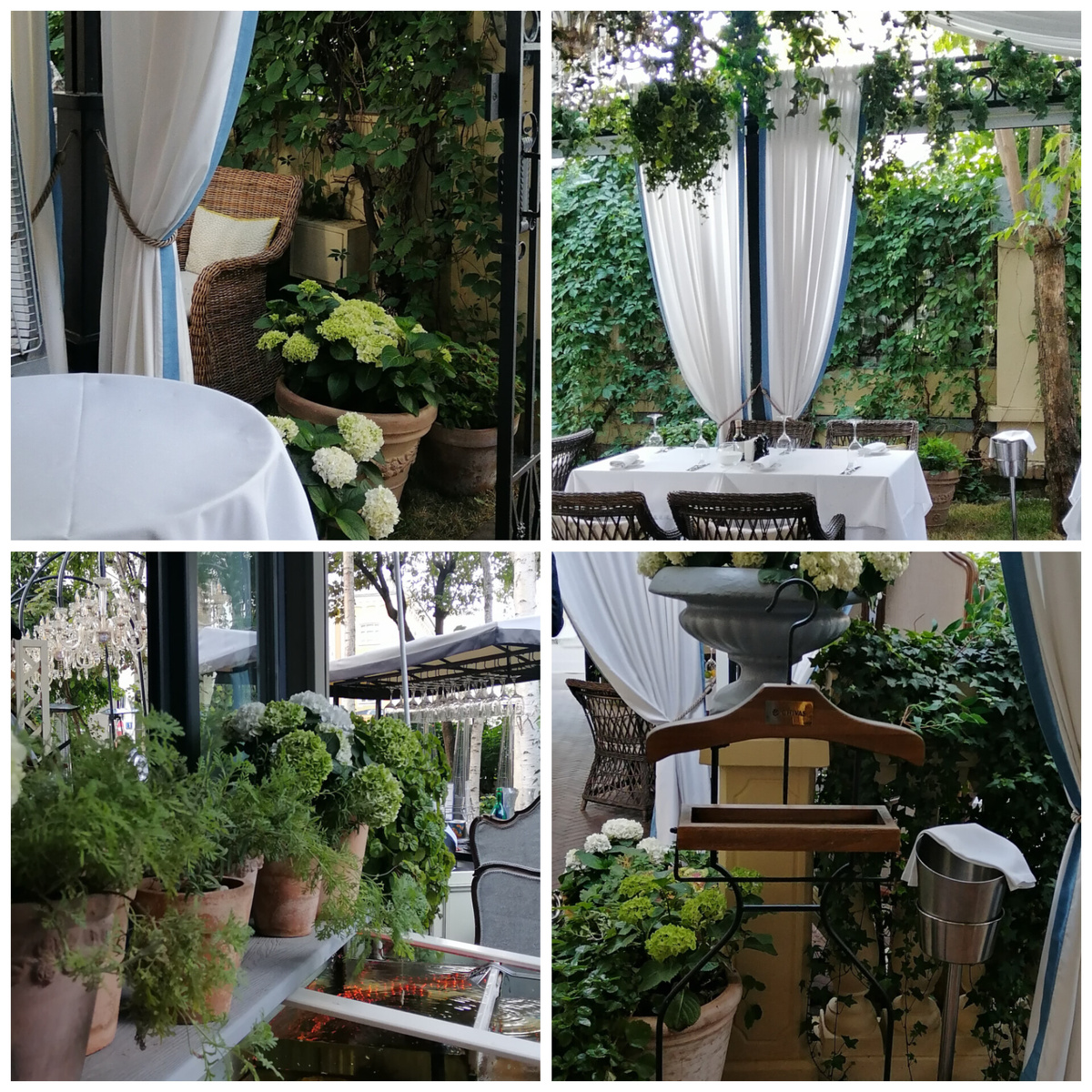 Контраст свежести и лета. Белый-зелёный. Такая парадность и нарядность, когда эти цвета рядом. 