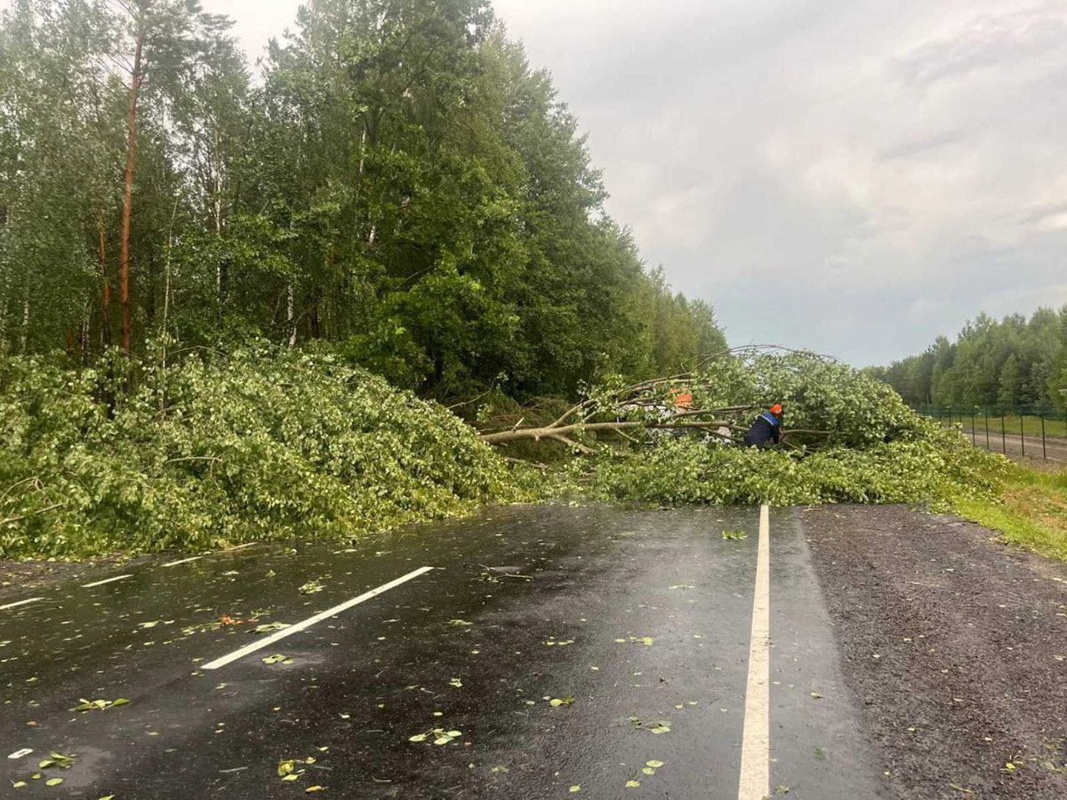    Ситуация крайне сложная, особенно в Гомельской области — Кулик о последствиях непогоды на выходных