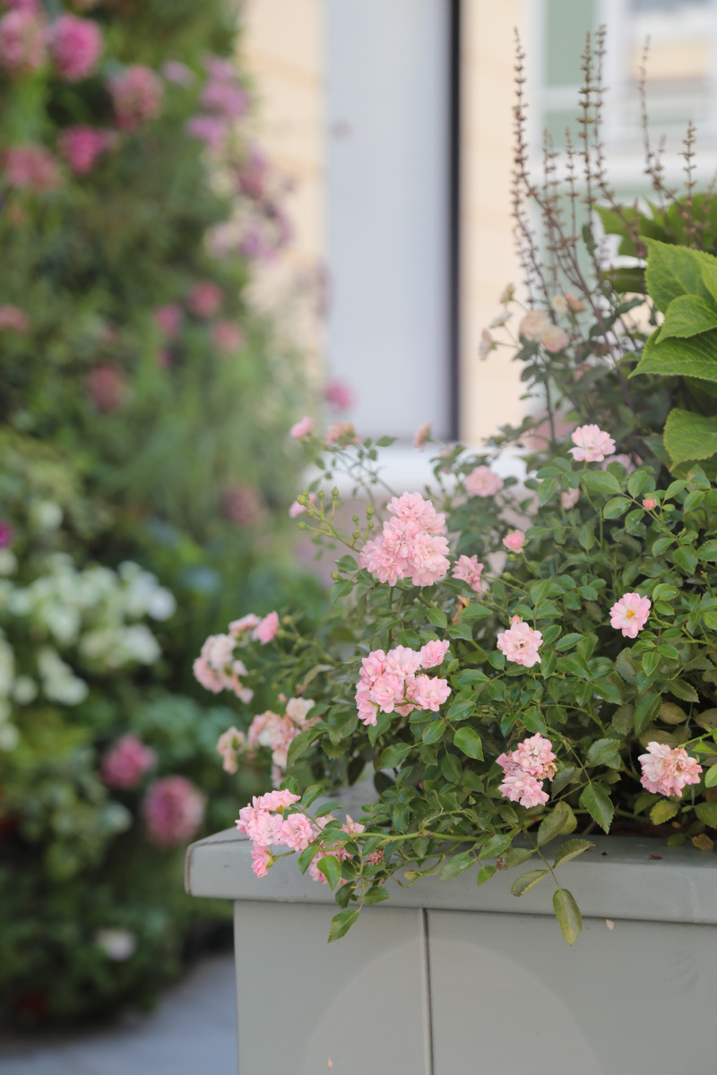 В Столкшниковом  переулке. Фото автора