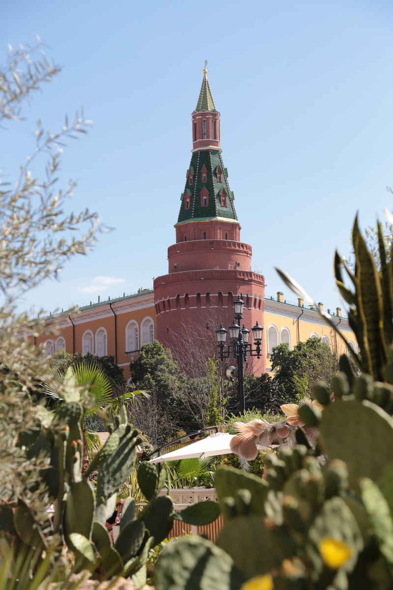 Если присмотреться, то можно увидеть кактусы) Фото автора