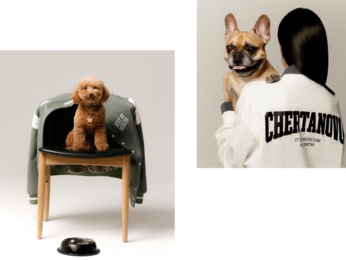     KChTZ (Кролик что-то знает)