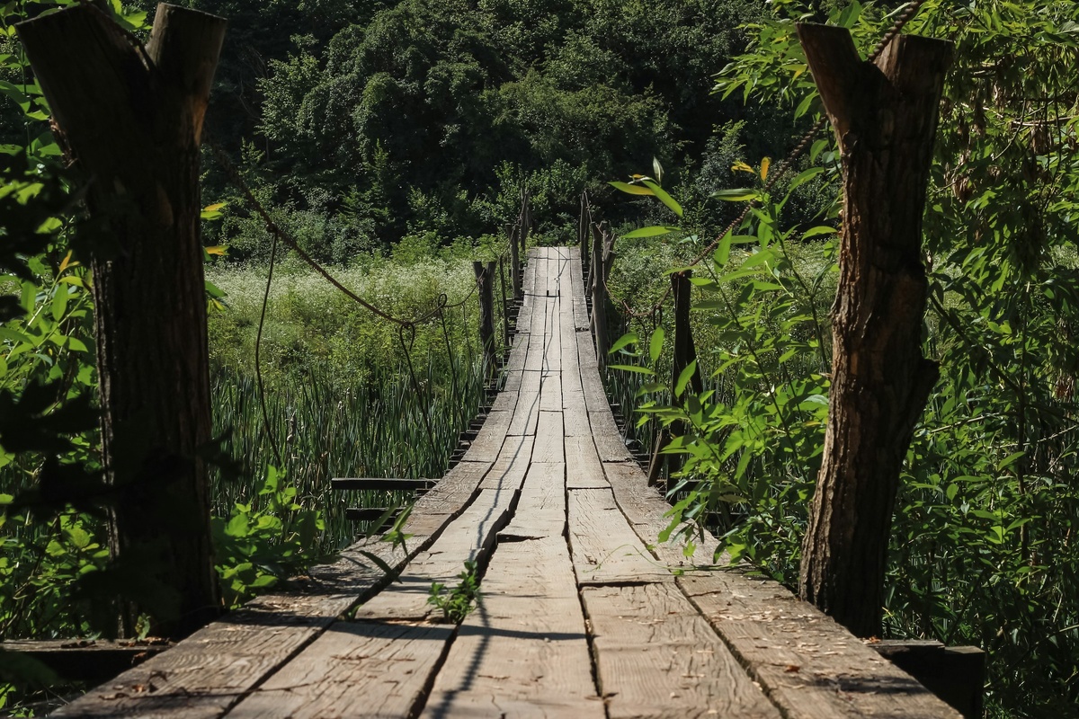 Фото с бесплатного фотостока https://unsplash.com, автор Yehor Koval
