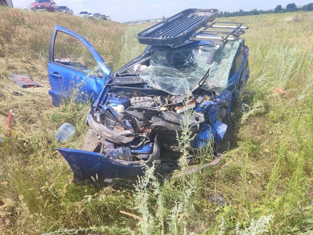    Водитель отвлекся на животное в салоне и спровоцировал ДТП: в аварии на трассе в Оренбургской области пострадали 4 человека