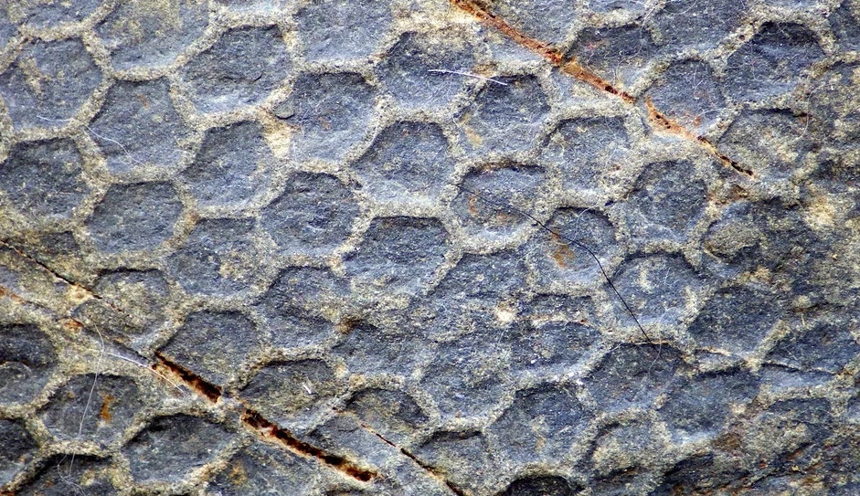 Следы возрастом 600 миллионов лет.
Источник фото: https://sun9-39.userapi.com/impg/-S--Bx3Rn0psToHTE0_UcdepSmKVSVvaUQNKeQ/9O2adGymRus.jpg?size=1024x580&quality=96&sign=d0d9e118b907a83021ced056fb7ffaf2&c_uniq_tag=e-AiwsDKVYWrASavTuVoe1szI5HG_kk6UvVV28wCX_Q&type=album