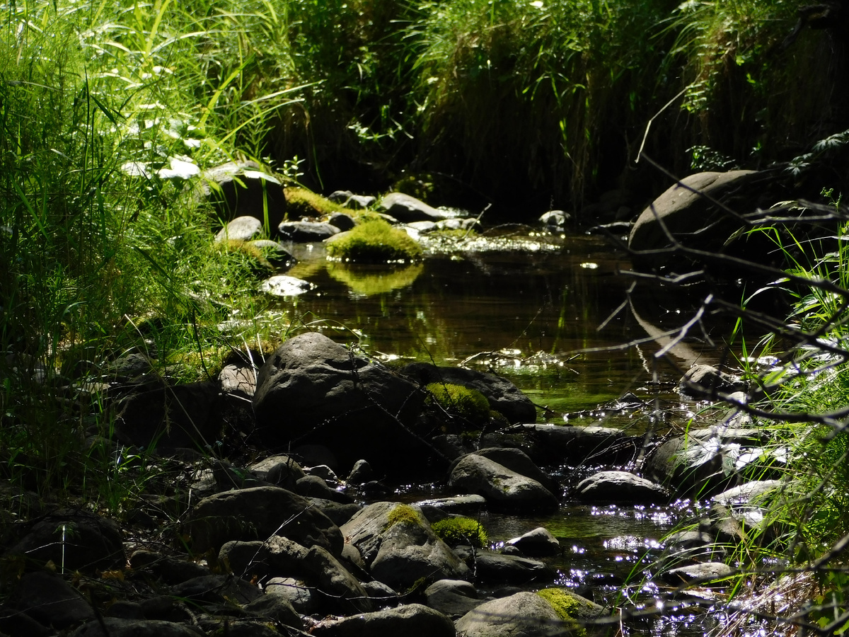 Река Каракол