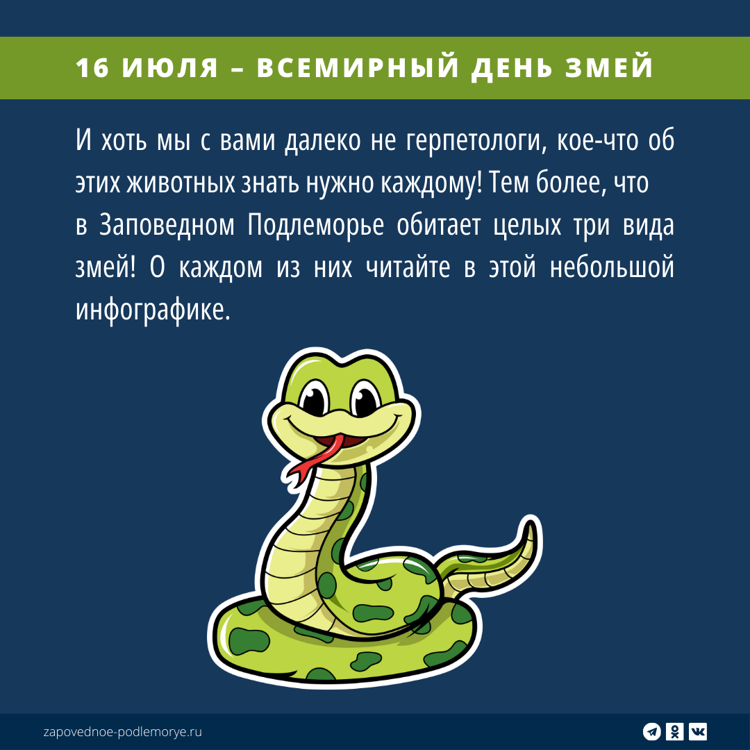 Листайте галерею вправо 👉🏻 