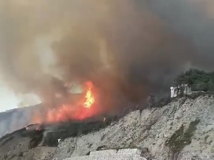 ФОТО ПРЕДОСТАВИЛИ ГЕРОИ ПУБЛИКАЦИИ