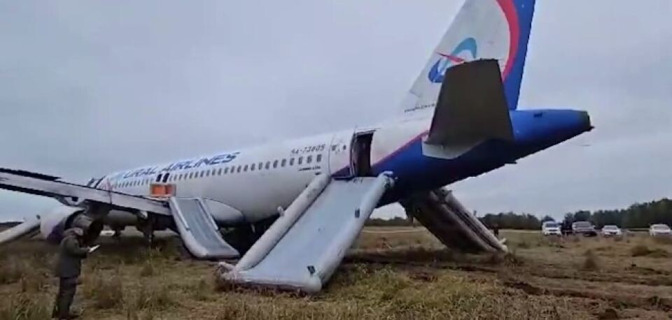    Кадры с места аварийной посадки самолета под Новосибирском. Источник: Восточное межрегиональное СУТ СК России