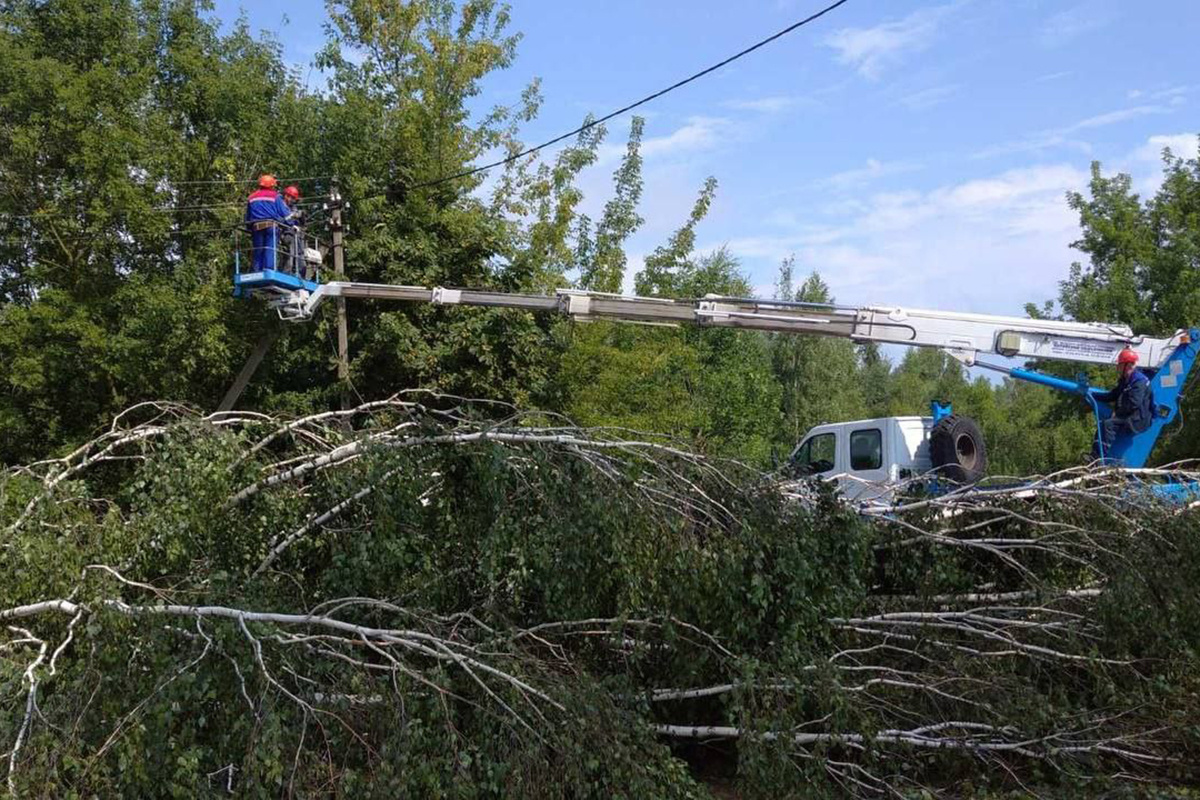 Для устранения последствий урагана в Гомельскую область направлены аварийные  бригады из других регионов | SB.BY | Дзен