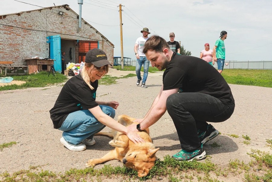 В курский приют для бездомных животных «Право жить» передали 400 килограммов корма. Его собрали в детских садах и школах Курска.-2