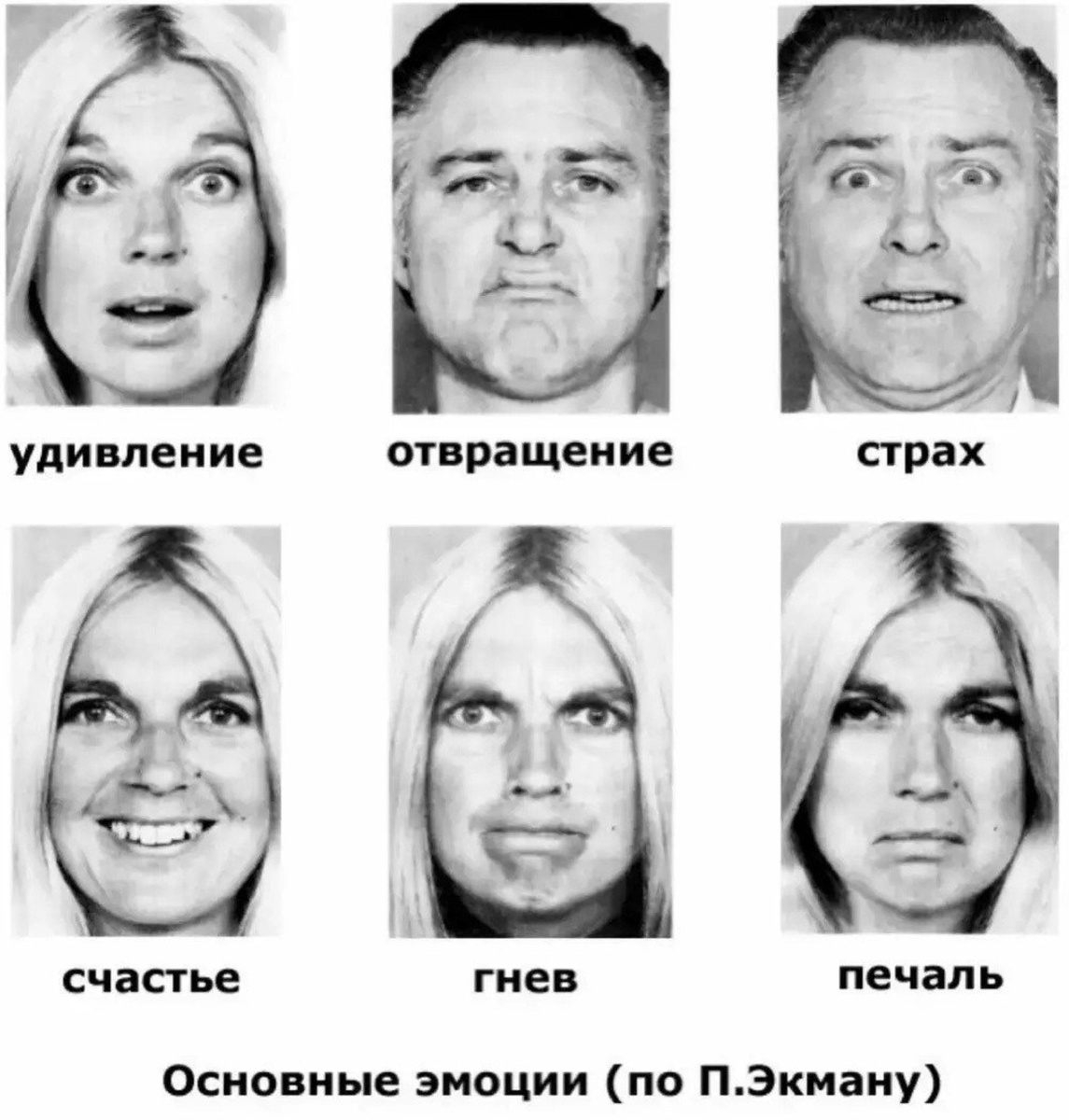 Экман выделял 6 базовых эмоций