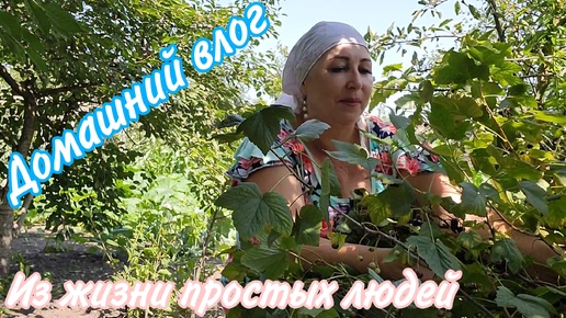 Вернулась из Абхазии/ Мои выходные у родителей/ Собираю смородину/ Огурцы как бочковые рецепт/ Жара