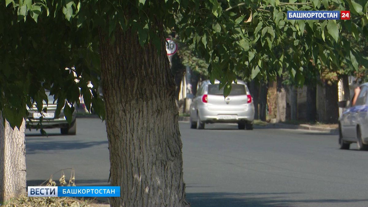    Улица Театральная в Уфе станет пешеходной