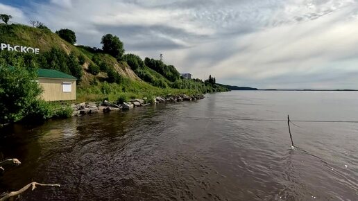 Окунь на причале.15 июля 2024 г.