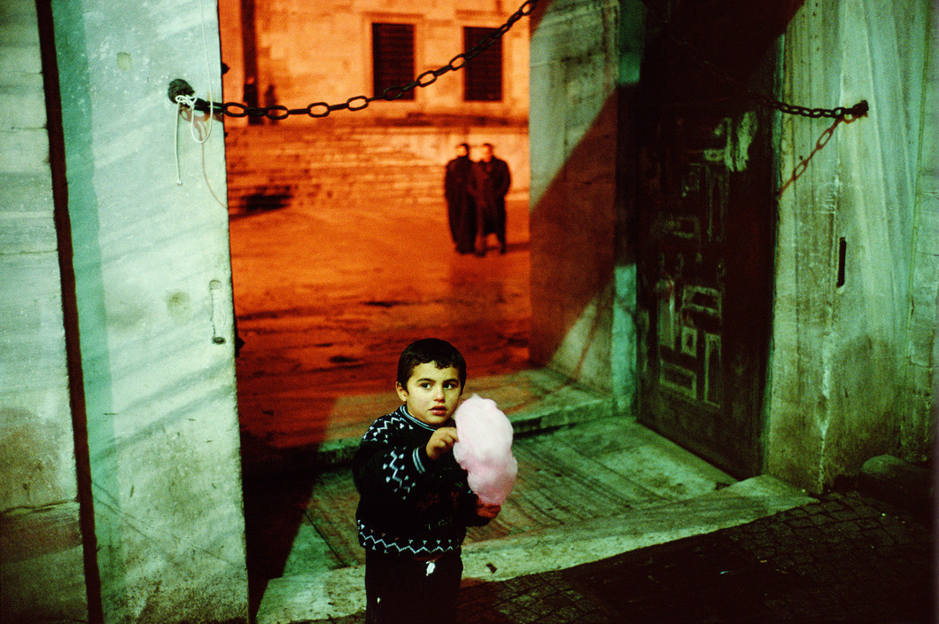 Alex Webb 
