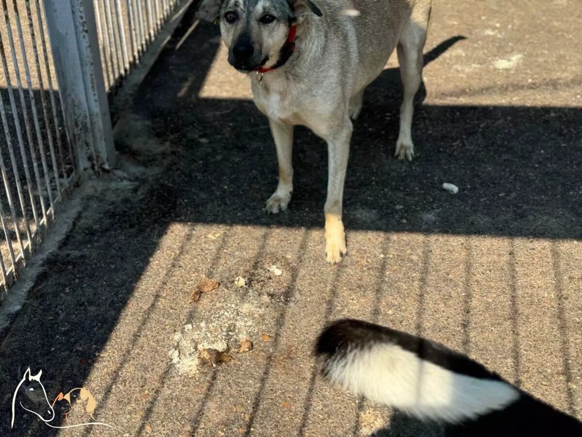     Источник: vk.com/bfsostradanie