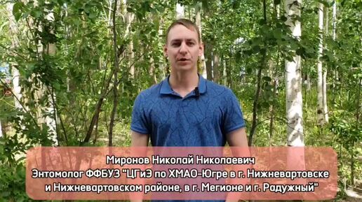 Кровососущие насекомые 🌿🦟