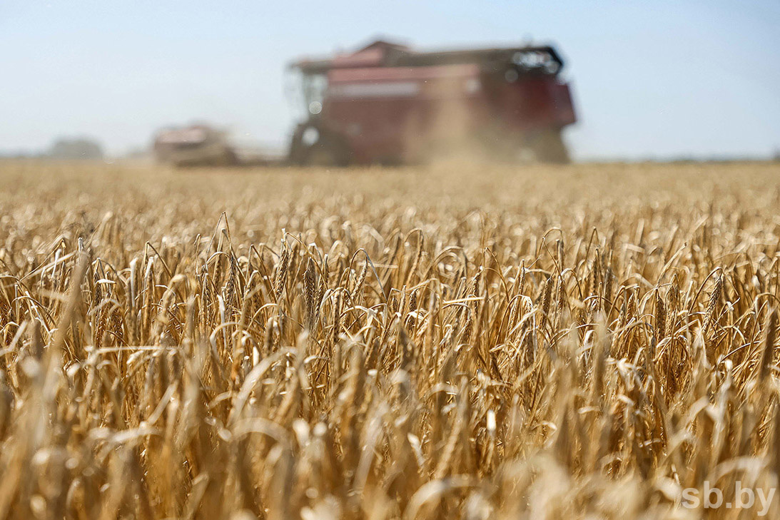    1,5 тысячи нарушений требований по охране труда выявлено во время уборочной кампании