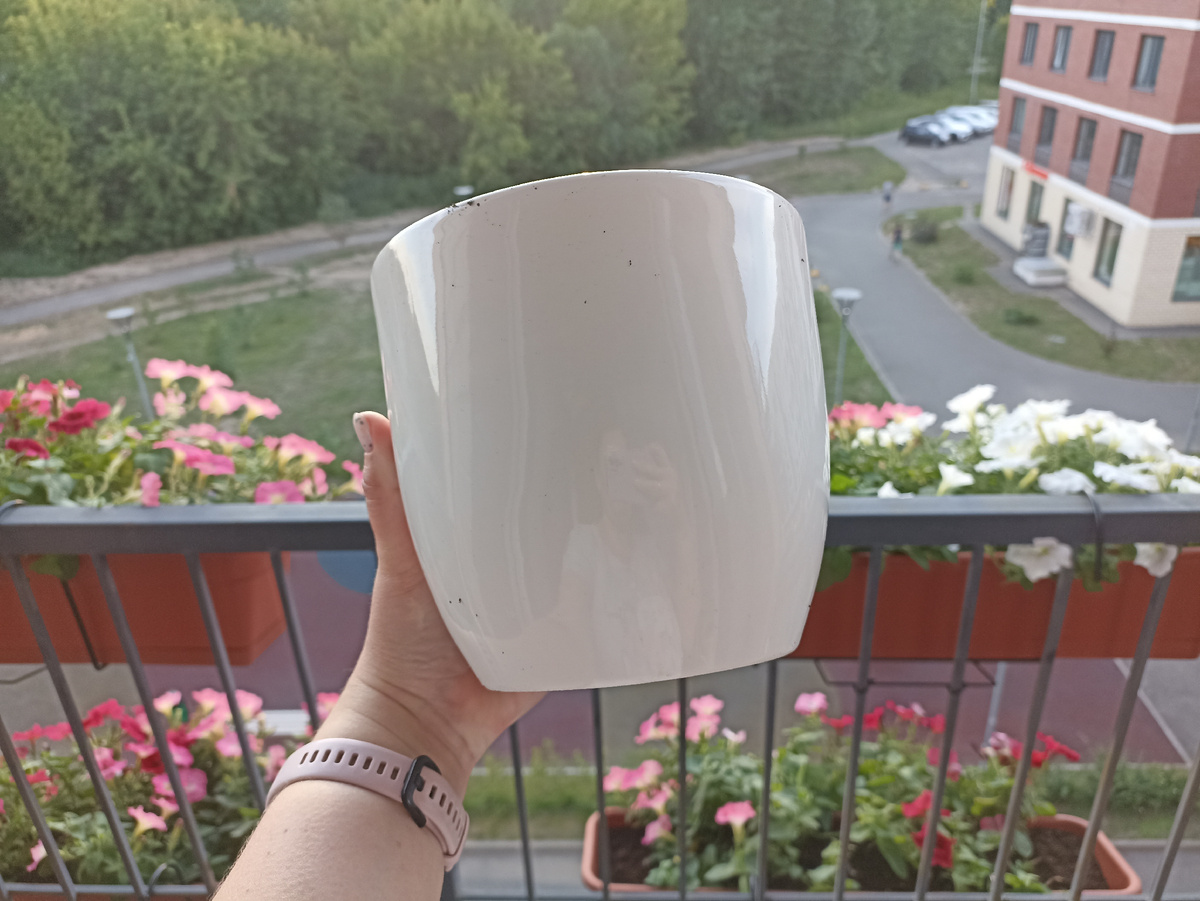 Добротное керамическое кашпо из-под Фикуса Лирата.