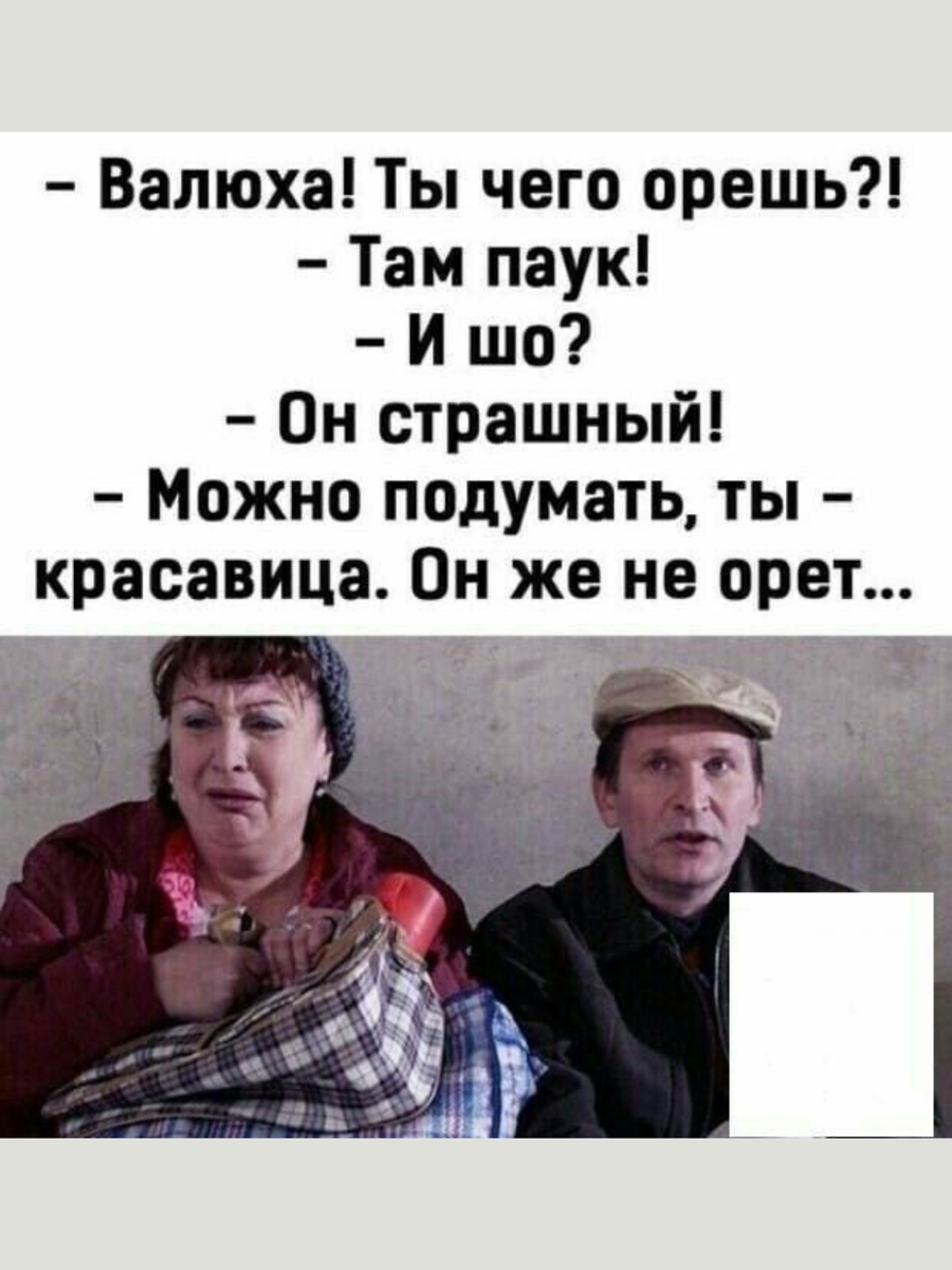 Фото взято из Интернета.
