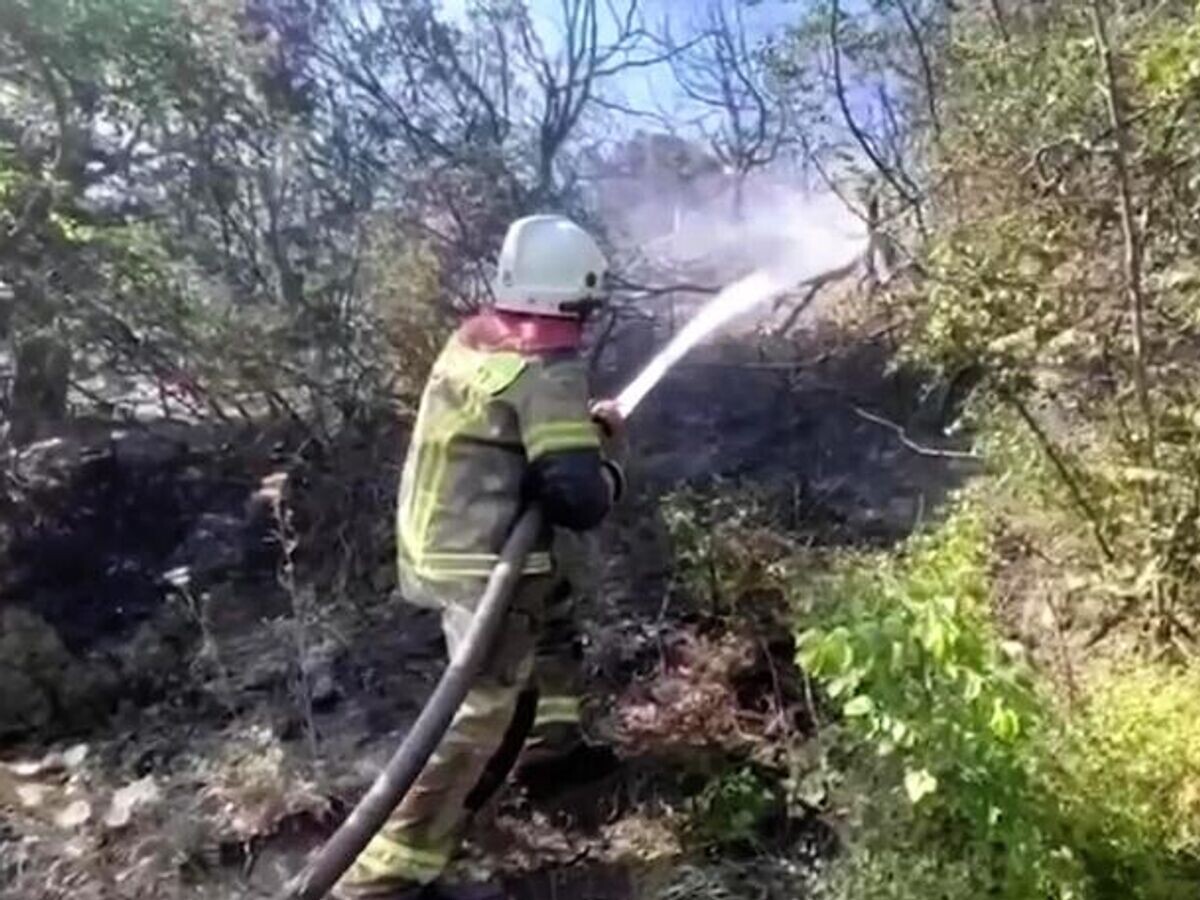    Лесной пожар под Новороссийском. Стоп-кадр видео© МЧС РФ