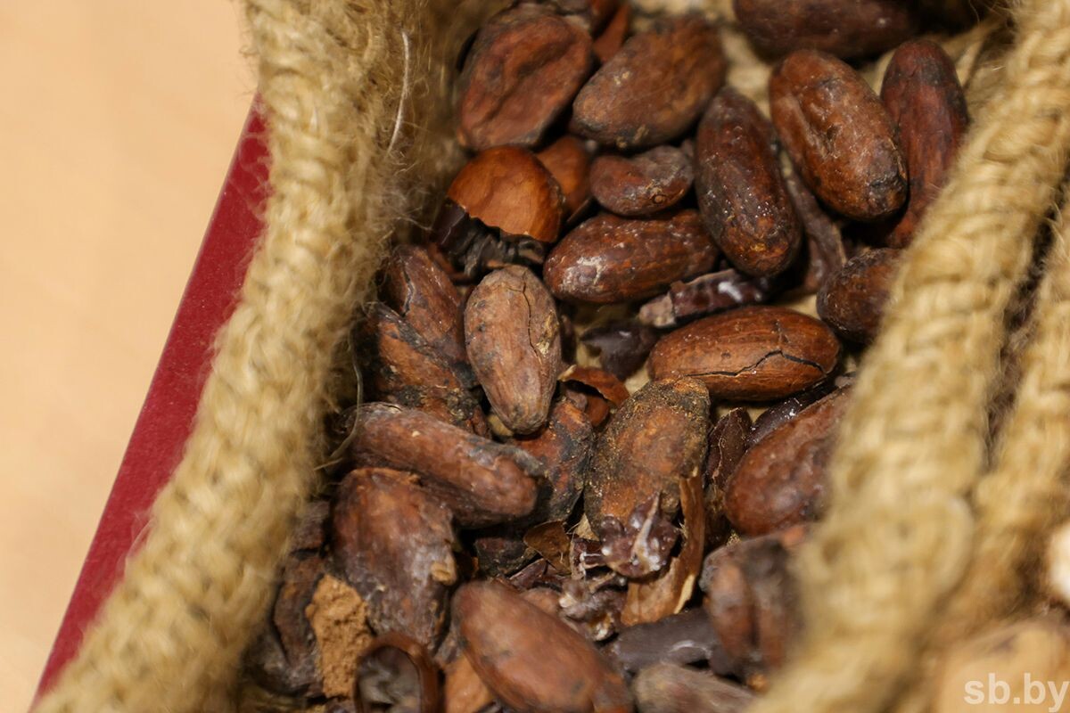    Производство мягкой карамели и переработка какао-бобов. Пищепром реализует ряд крупных инвестиционных проектов