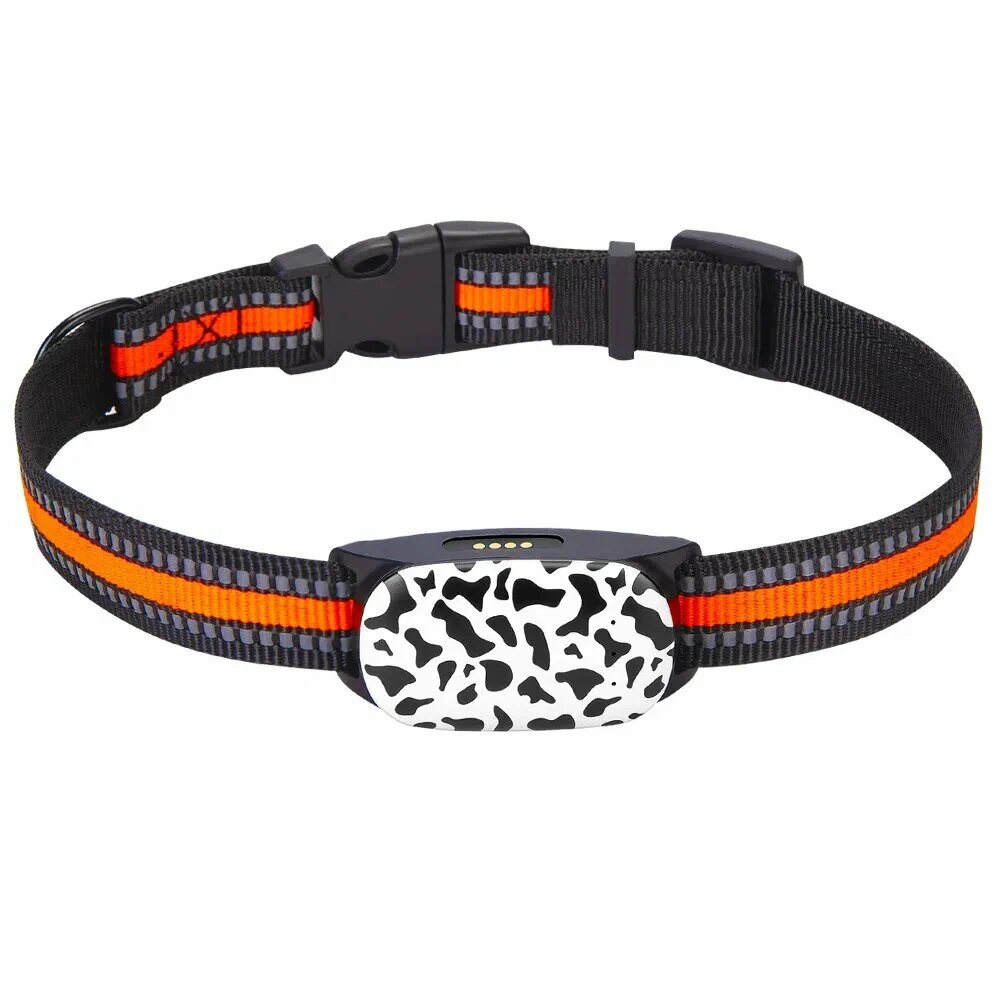 GPS трекер (ошейник) для кошек и собак Petsee 4G Cats со встроенной сим-картой, датчиком движения и фирменным приложением