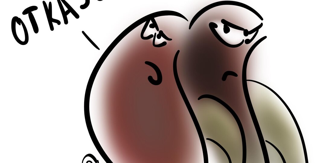 Каким образом форсига может навредить почкам?