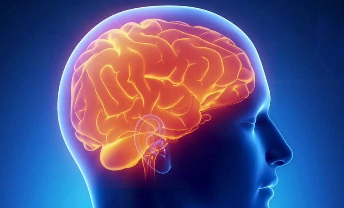    Возможно, у левшей плохо работает левое полушарие, которое отвечает за работу правой руки. Источник: kostroma.mk.ru