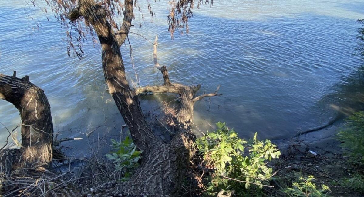 По данным специалистов, микробиологические пробы воды не соответствуют нормам.