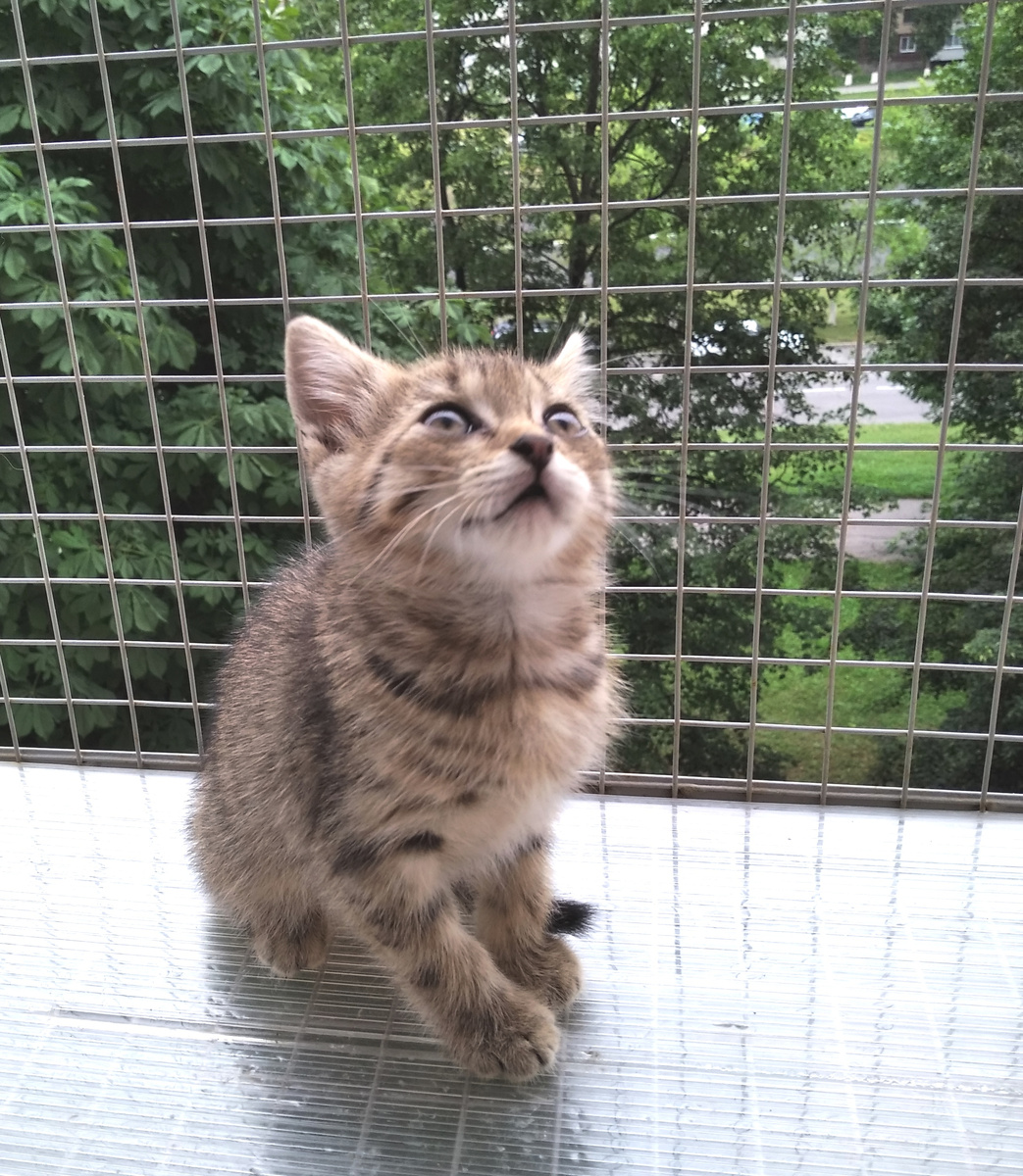 Мам, чё жарко-то так?