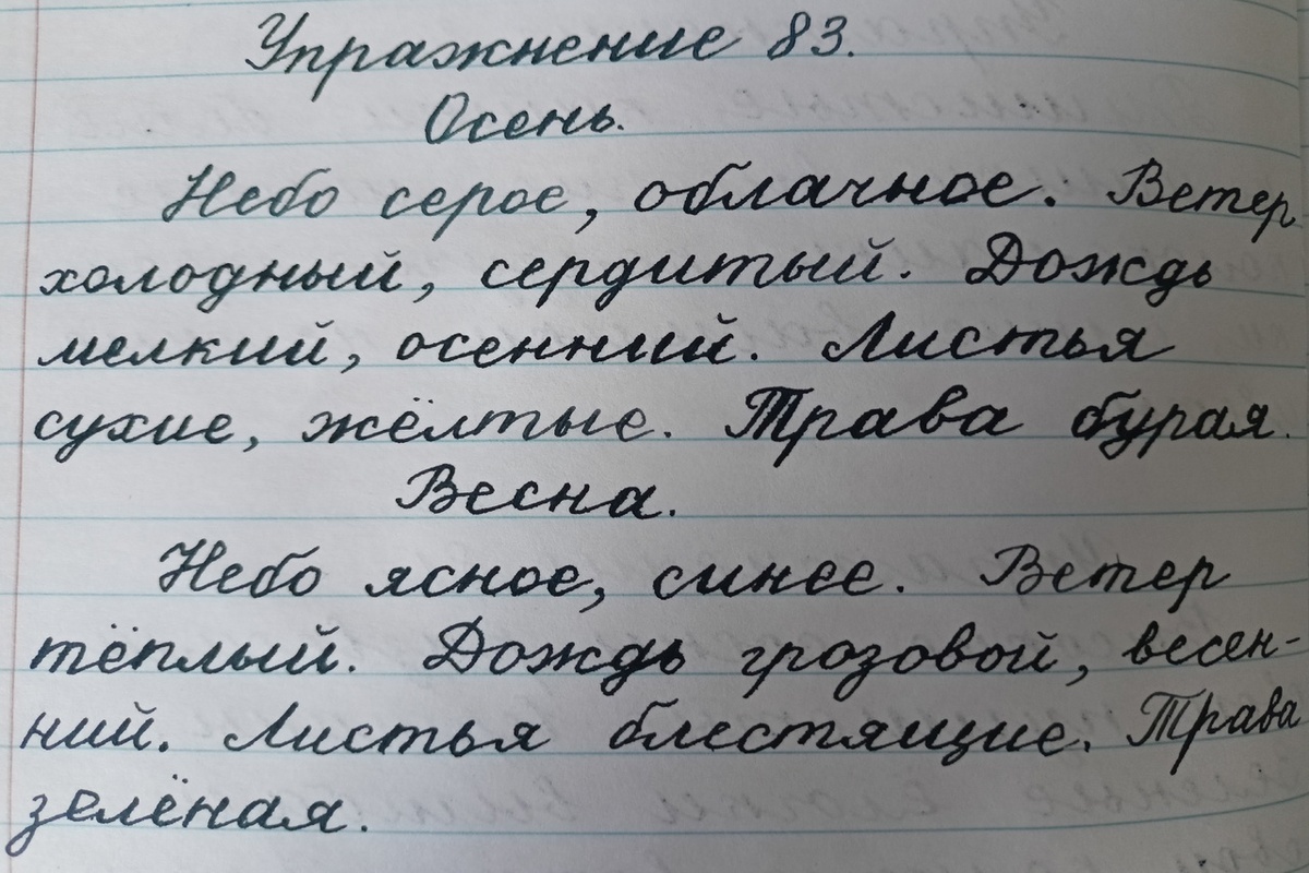 Русский язык 4 класс Закожурникова. Урок 27. Правописание окончаний  прилагательных единственного и множественного числа в И.п. (упр. 82-84) |  Уроки по советским учебникам | Дзен