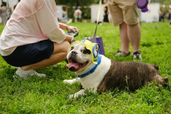    Фото: Александр Вдовенко