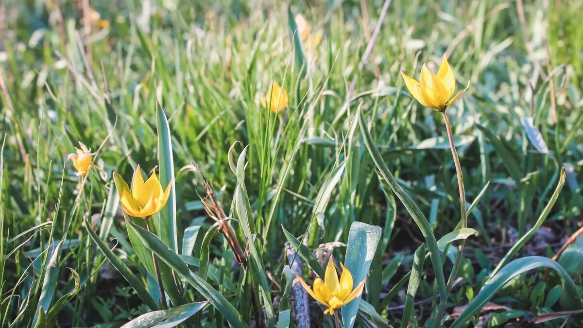     Источник: 1MI