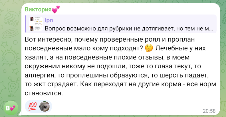 Приветствую читателей канала vetLIFE! Я ветеринарный врач-диетолог Быкова Анастасия, а тут — постоянная на моём канале рубрика "вопрос-ответ". Выходит раз в 2 недели.-2