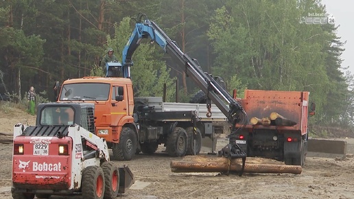 Очистка берега от древесного мусора началась в Братске