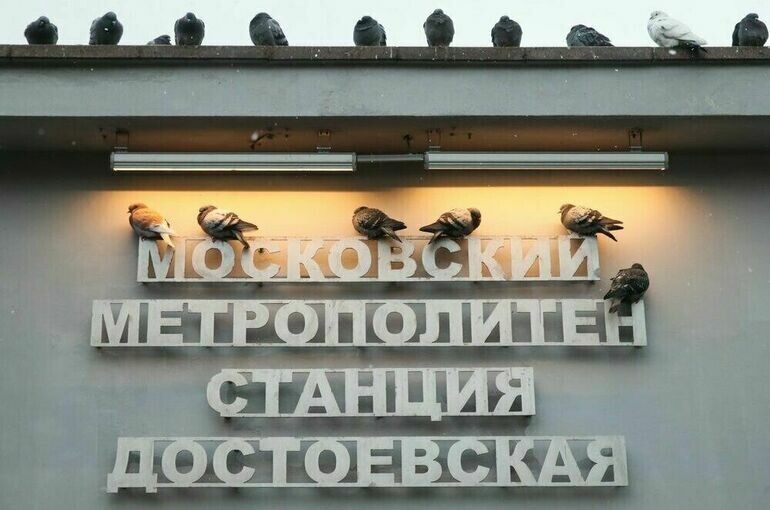   Кузьмиченок Василий / Агентство «Москва»