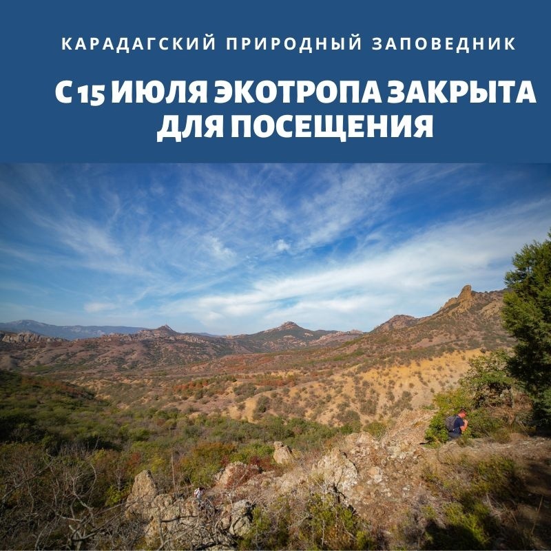 Фото: Карадагский заповедник/ВК