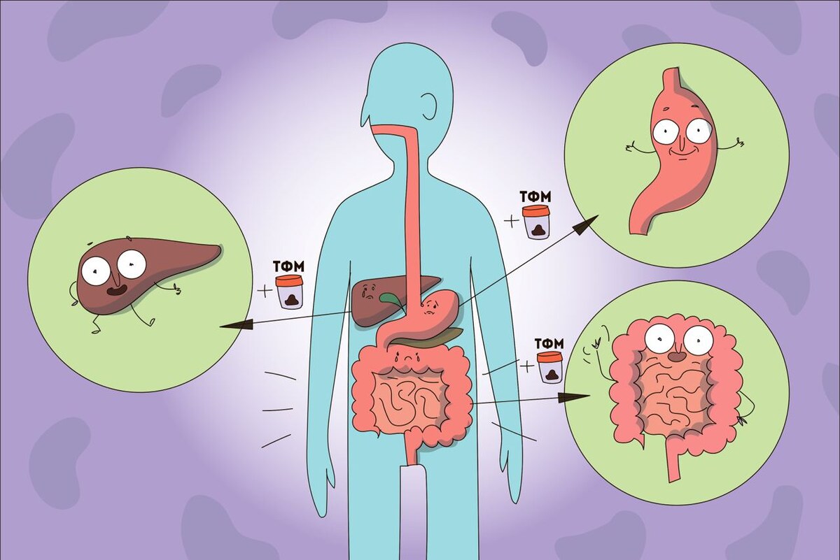 Фекальная трансплантация показана для лечения рецидивирующей или тяжелой инфекции Clostridium difficile, когда стандартные антибиотики неэффективны. Она также рассматривается при воспалительных заболеваниях кишечника, таких как язвенный колит и болезнь Крона, для восстановления микробиоты. Кроме того, исследуются ее возможности в терапии метаболических и аутоиммунных заболеваний.