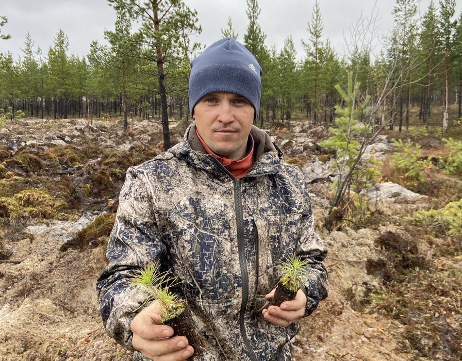    Более 2,5 тысяч гектаров леса планирует восстановить ПАО «Сургутнефтегаз»