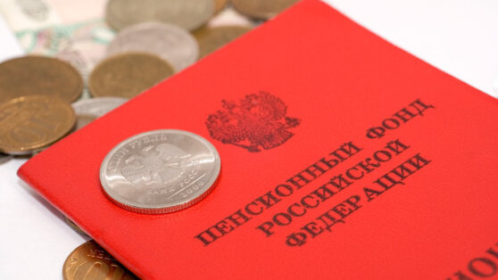    ТАСС: в пенсионный стаж россиян хотят включить период работы на Украине с 1991 года до СВО Алина Городниченко